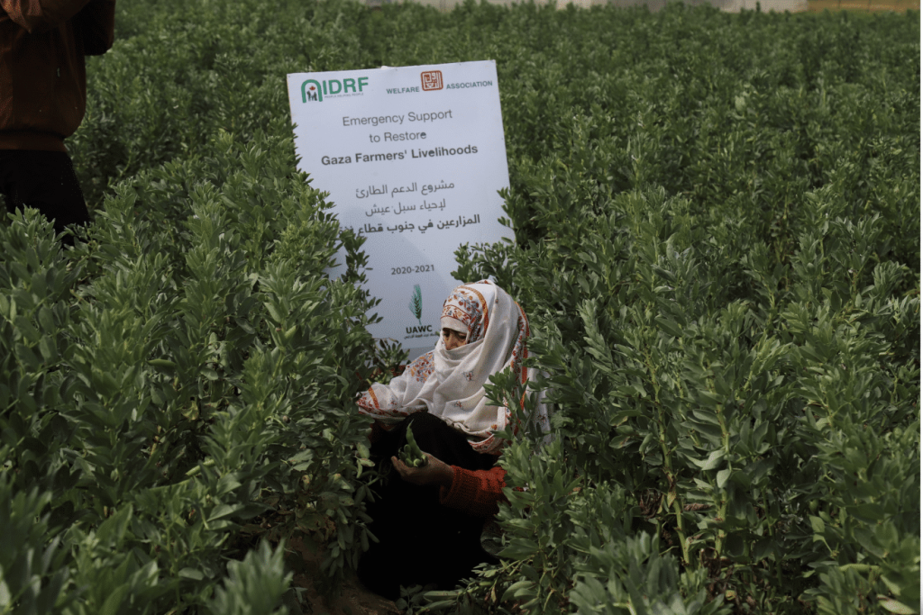 Emergency Support Gaza - Gaza Farmer Livelihoods